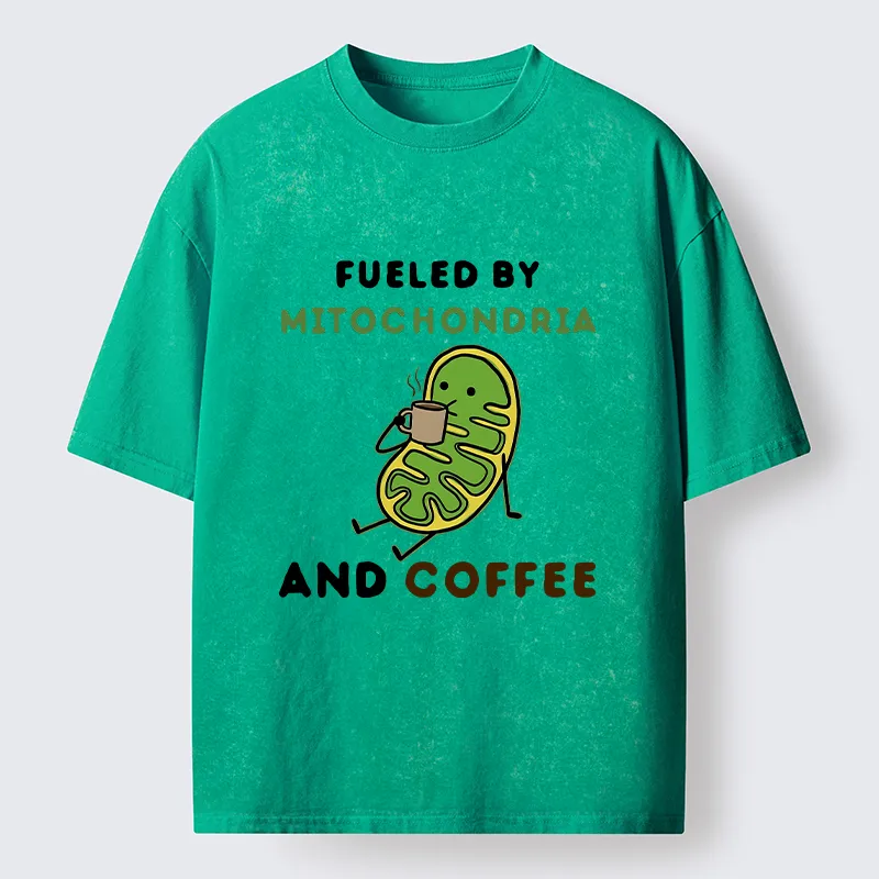 Tokyo-Tiger Two Sources Energy Funny Meme Washed T-Shirt