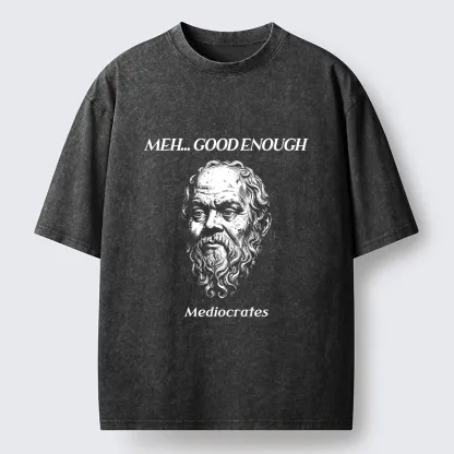 Tokyo-Tiger Meh Philosophy Meme Washed T-Shirt