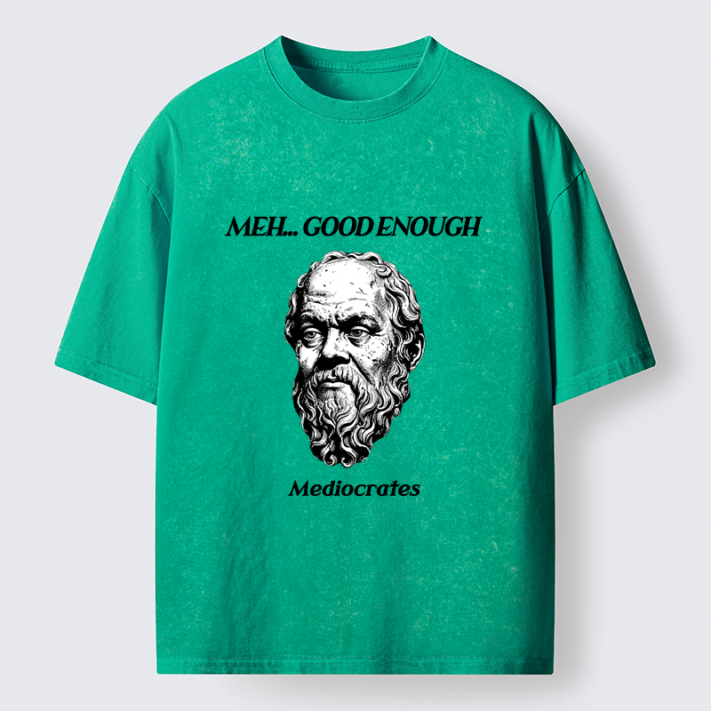 Tokyo-Tiger Meh Philosophy Meme Washed T-Shirt