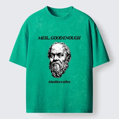 Tokyo-Tiger Meh Philosophy Meme Washed T-Shirt