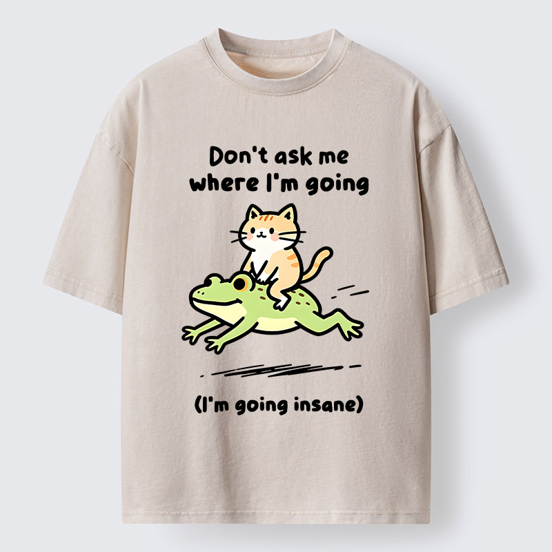 Tokyo‑Tiger Cat Riding Frog Meme Washed T-Shirt