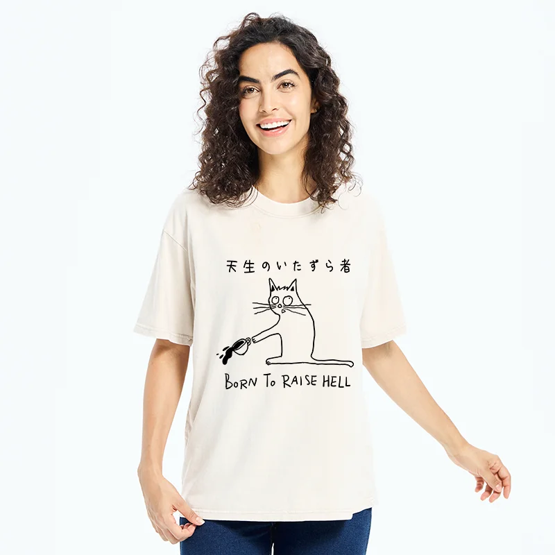 Tokyo-Tiger Trouble Maker Washed T-Shirt