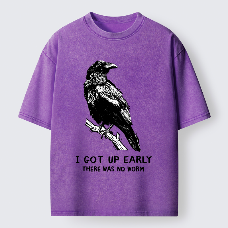 Tokyo-Tiger Early Raven Meme Washed T-Shirt