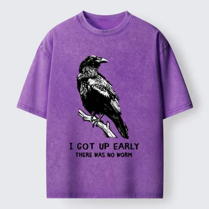 Tokyo-Tiger Early Raven Meme Washed T-Shirt