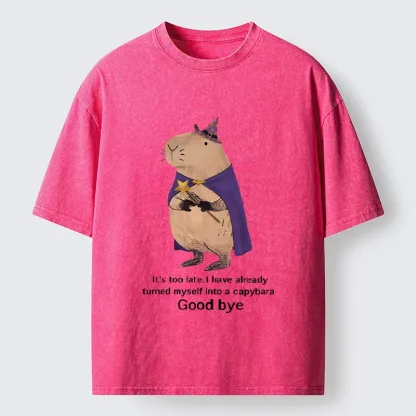 Tokyo‑Tiger Funny Wizard Capybara Washed T‑Shirt