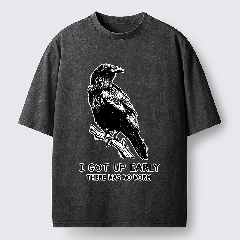 Tokyo-Tiger Early Raven Meme Washed T-Shirt