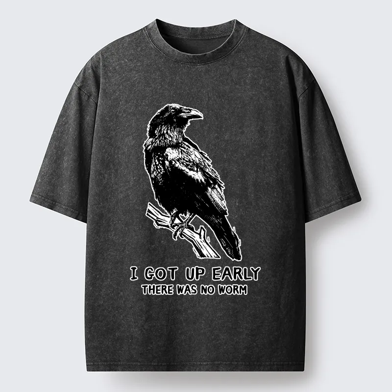 Tokyo-Tiger Early Raven Meme Washed T-Shirt