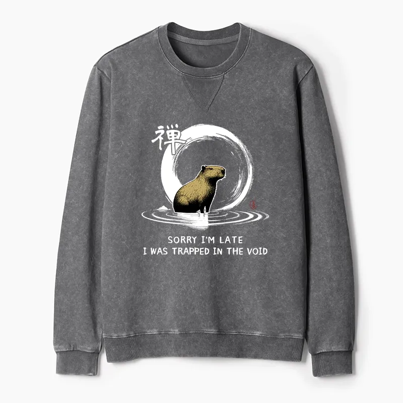 Tokyo-Tiger Zen Capybara Was Trapped In The Void Washed Terry Sweatshirt