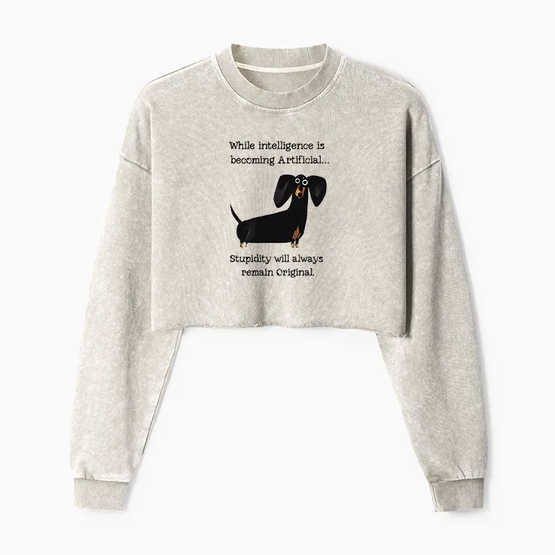 Tokyo-Tiger Dachshund Real Humor Funny Meme Washed Crop Sweatshirt