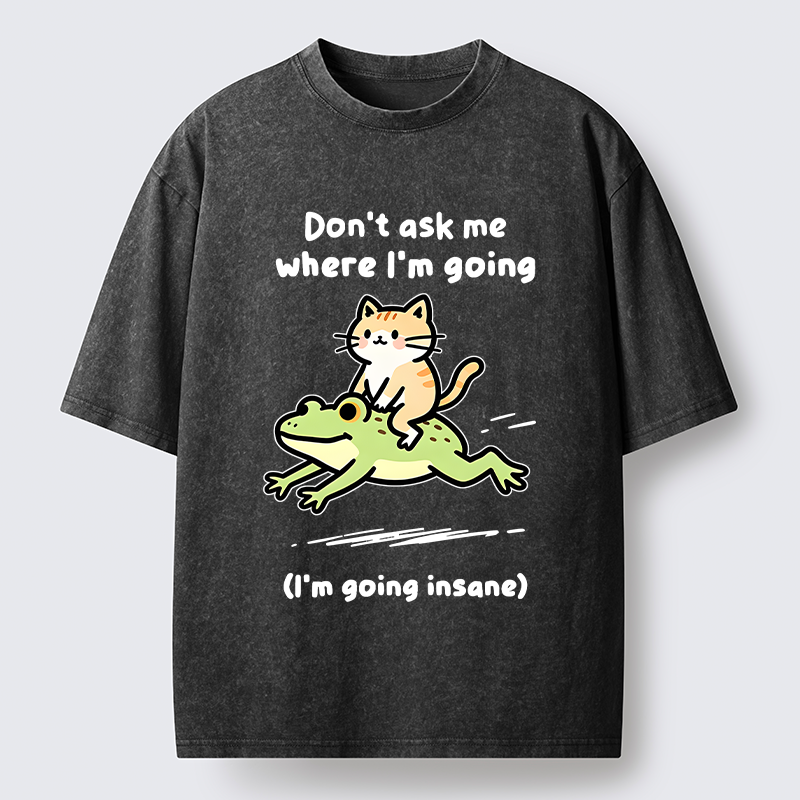 Tokyo‑Tiger Cat Riding Frog Meme Washed T-Shirt