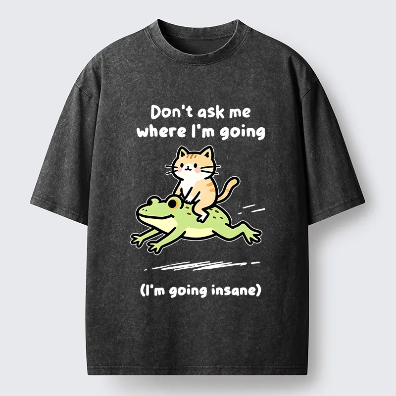 Tokyo‑Tiger Cat Riding Frog Meme Washed T-Shirt