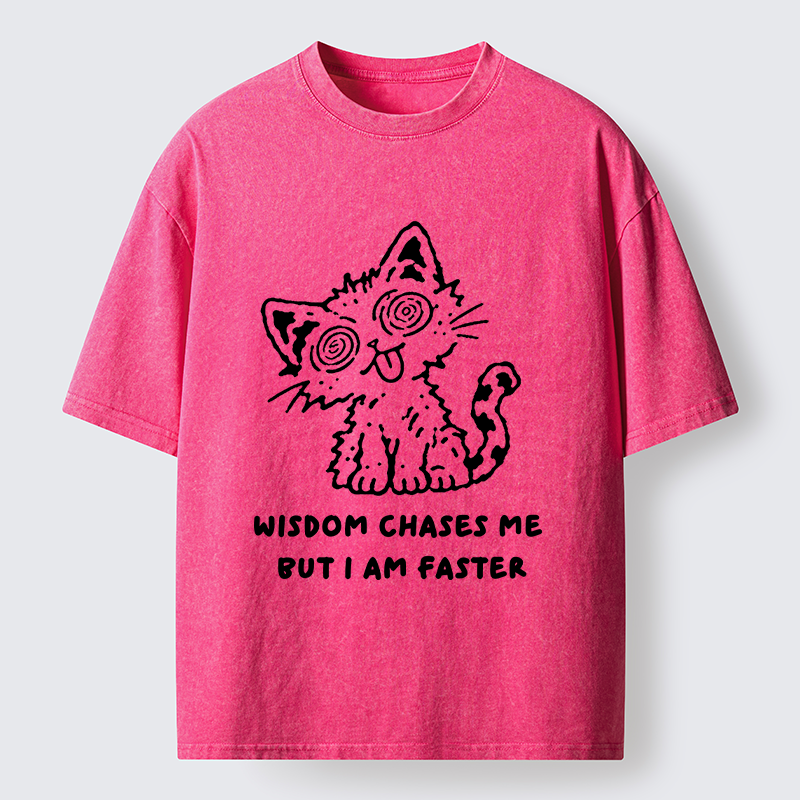 Tokyo-Tiger Escape Wisdom Cat Funny Meme Washed T-Shirt