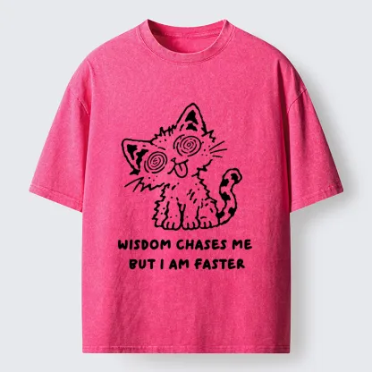 Tokyo-Tiger Escape Wisdom Cat Funny Meme Washed T-Shirt