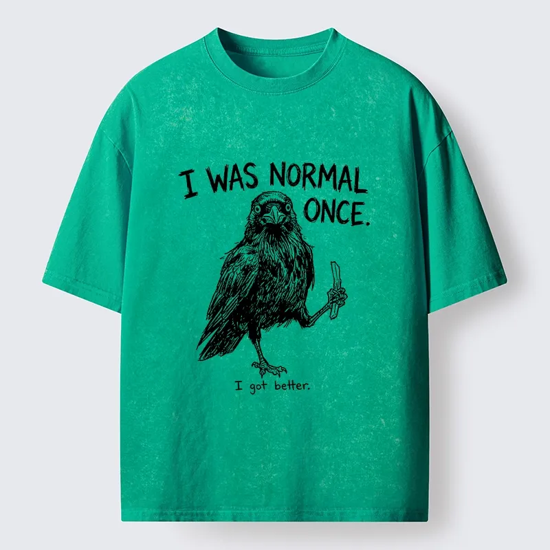 Tokyo‑Tiger Funny Crow Meme Washed T‑Shirt