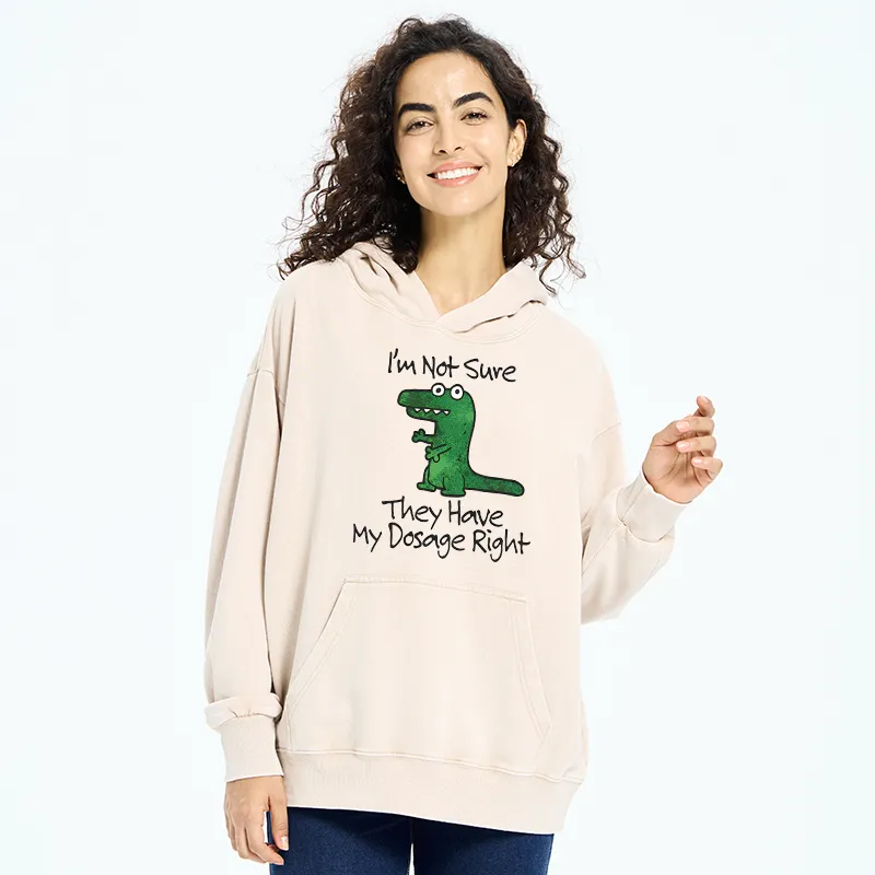 Tokyo-Tiger Dinosaur Meme Sarcastic Ironic Washed Hoodie