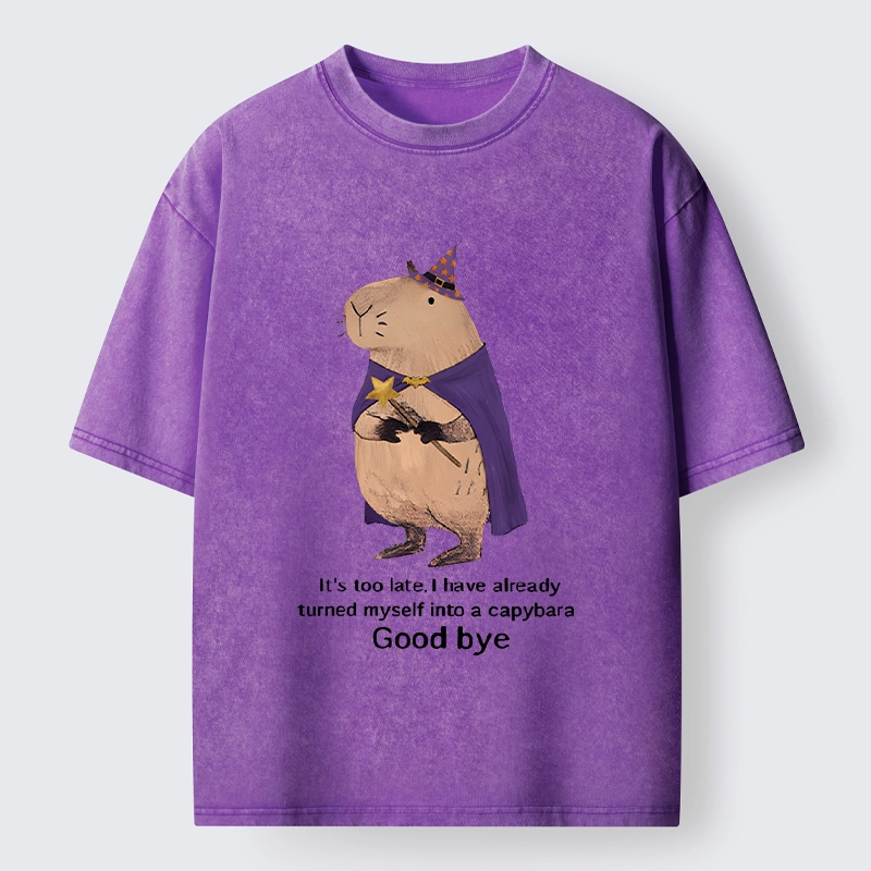 Tokyo‑Tiger Funny Wizard Capybara Washed T‑Shirt