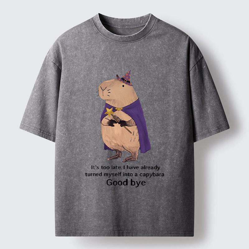 Tokyo‑Tiger Funny Wizard Capybara Washed T‑Shirt