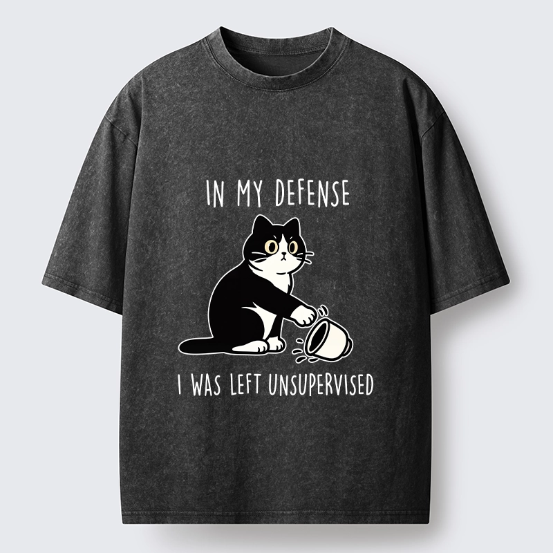Tokyo‑Tiger Funny Naughty Cat Washed T‑Shirt