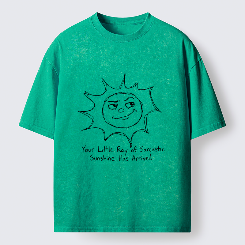 Tokyo-Tiger Funny Sarcasm Sun Meme Washed T-Shirt