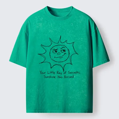 Tokyo-Tiger Funny Sarcasm Sun Meme Washed T-Shirt