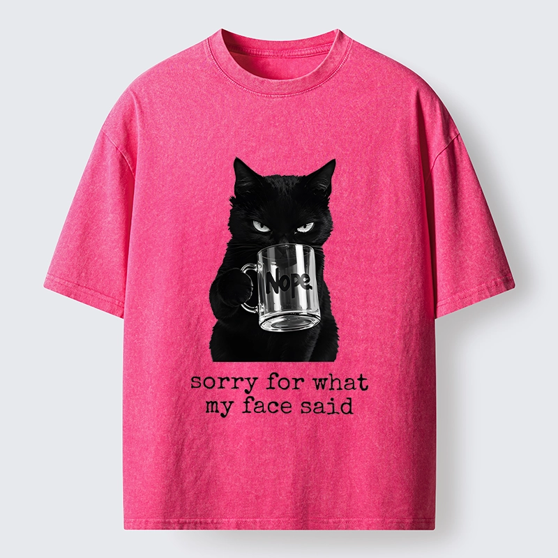 Tokyo‑Tiger Funny Sassy Cat Washed T‑Shirt