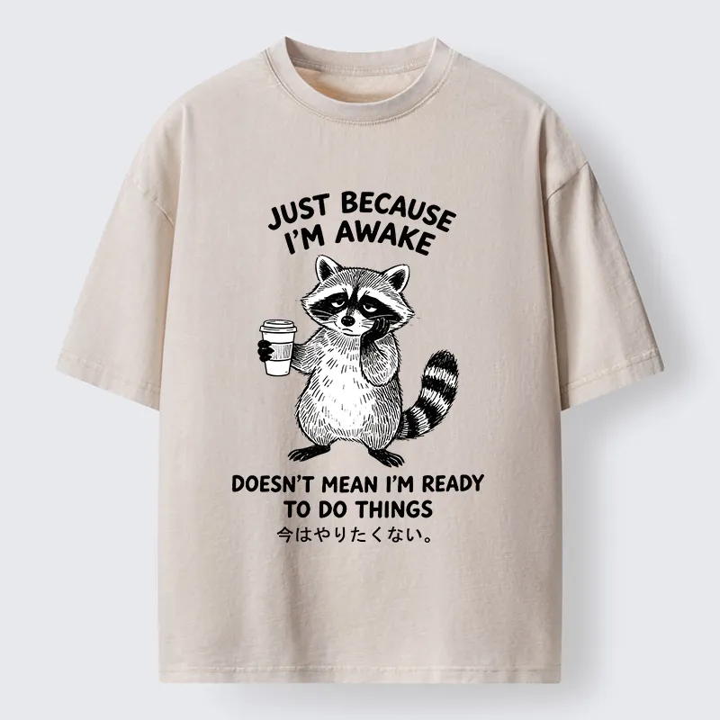 Tokyo‑Tiger Tired Raccoon Coffee Washed T‑Shirt Sale