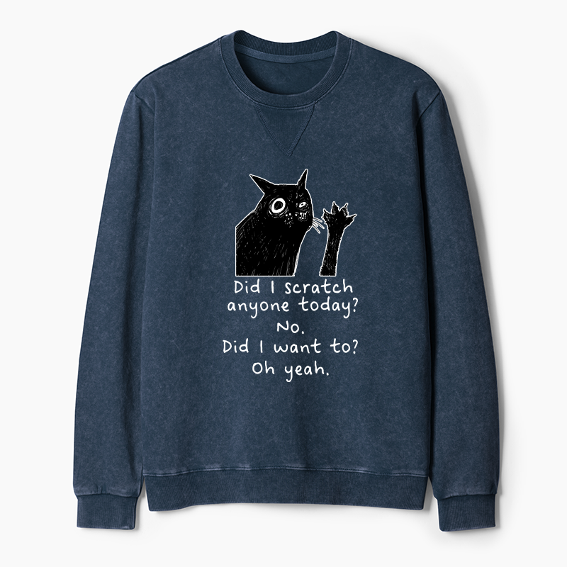 Tokyo-Tiger Black Cat Scratches People Washed Terry Sweatshirt