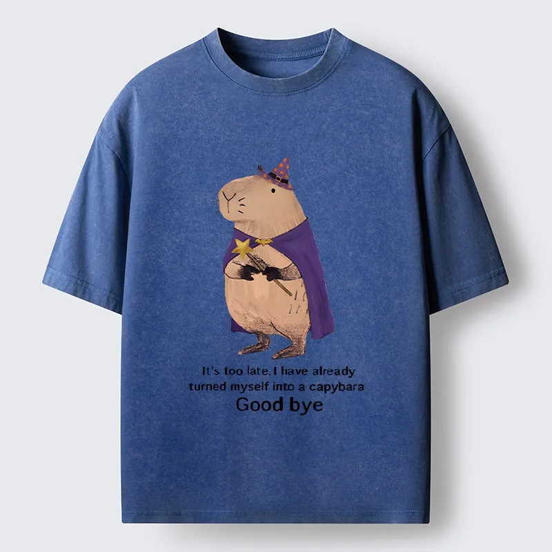 Tokyo‑Tiger Funny Wizard Capybara Washed T‑Shirt