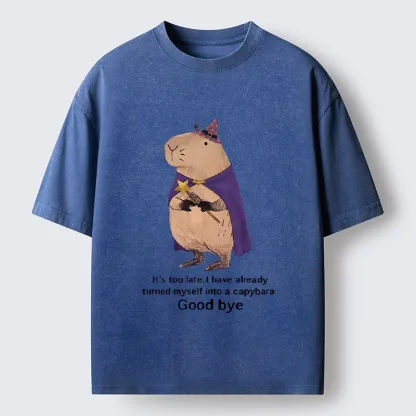 Tokyo‑Tiger Funny Wizard Capybara Washed T‑Shirt