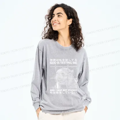 Tokyo-Tiger God Is Testing Me Washed Long Sleeve T-Shirt