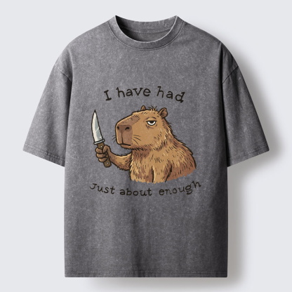 Tokyo-Tiger Mr. Nice Guy Had Enough Washed T-Shirt