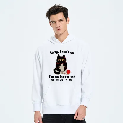 Tokyo-Tiger Indoor Cat Meme Classic Hoodie