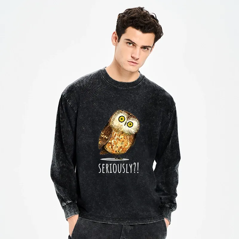Tokyo-Tiger Seriously Confused Owl Meme Art Washed Long Sleeve T-Shirt