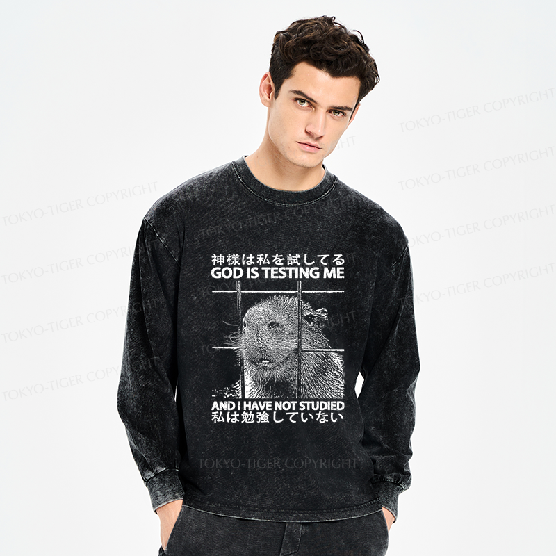 Tokyo-Tiger God Is Testing Me Washed Long Sleeve T-Shirt