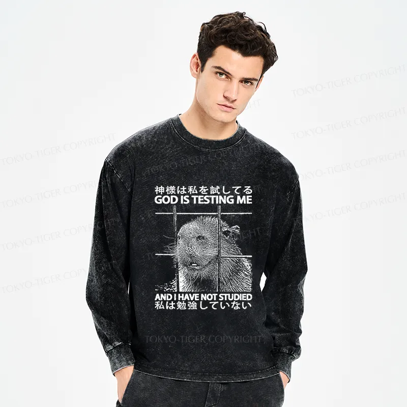 Tokyo-Tiger God Is Testing Me Washed Long Sleeve T-Shirt