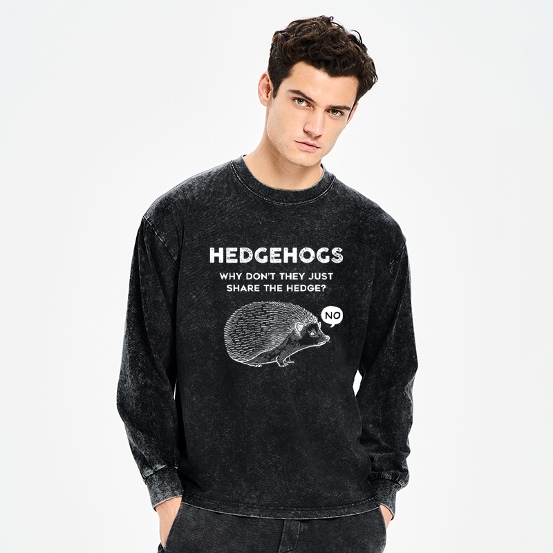 Tokyo-Tiger Funny Hedgehog Washed Long Sleeve T-Shirt