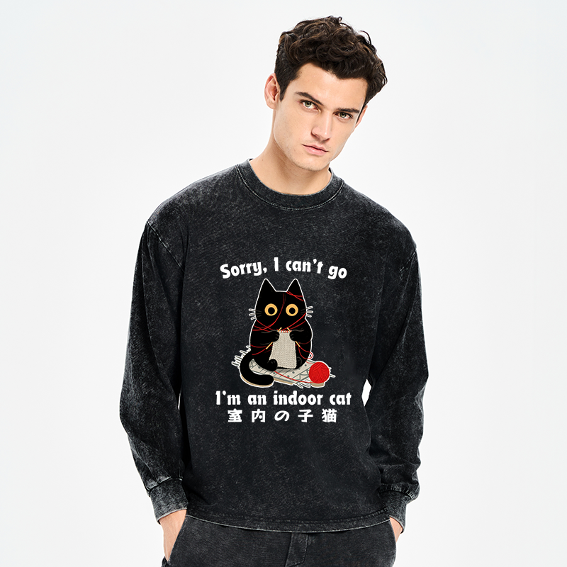 Tokyo-Tiger Indoor Cat Meme Washed Long Sleeve T-Shirt