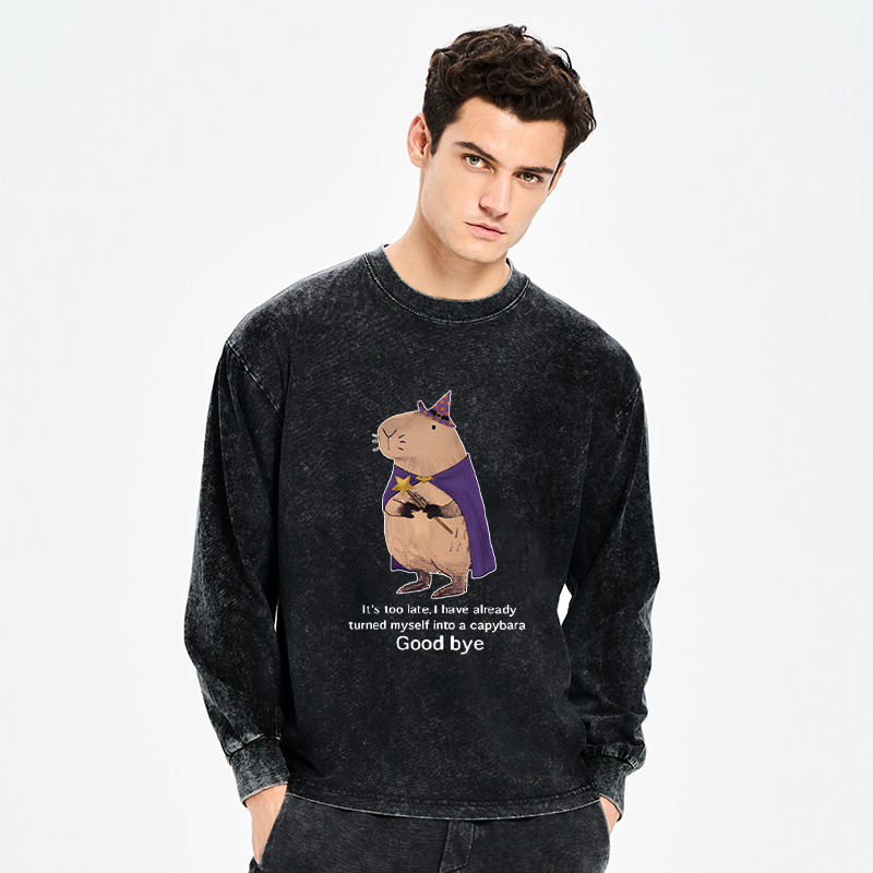Tokyo-Tiger Funny Wizard Capybara Washed Long Sleeve T-Shirt
