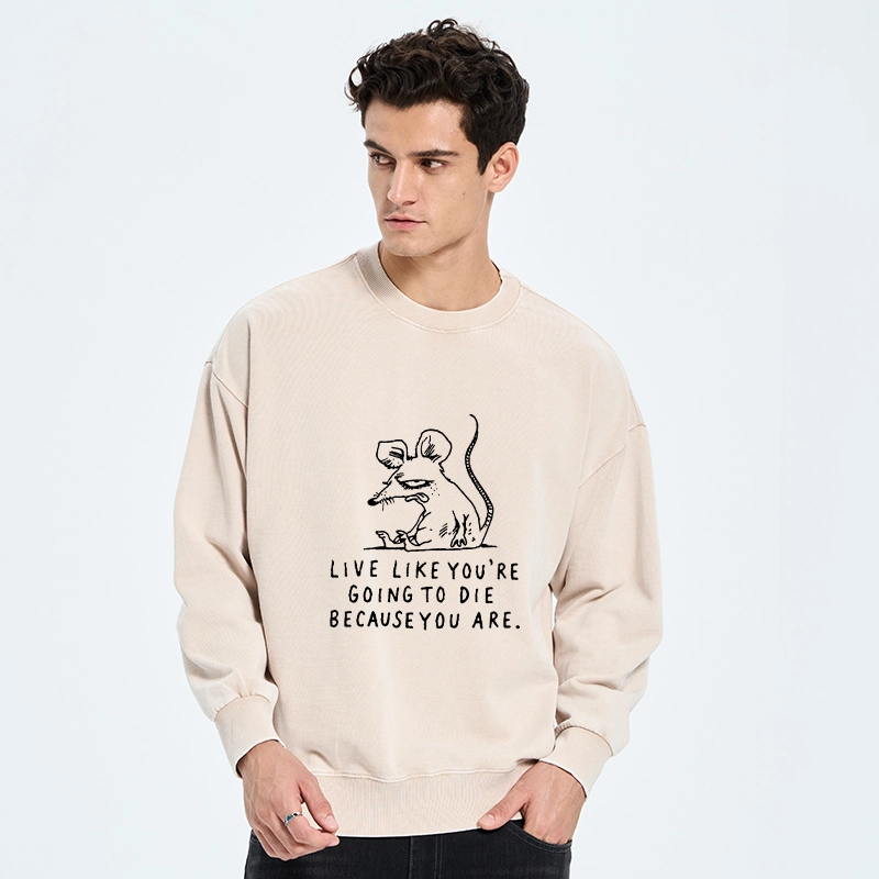 Tokyo-Tiger Funny Meme Sarcastic Rat Life Truth Washed Sweatshirt