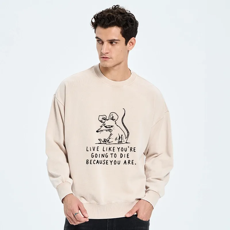 Tokyo-Tiger Funny Meme Sarcastic Rat Life Truth Washed Sweatshirt
