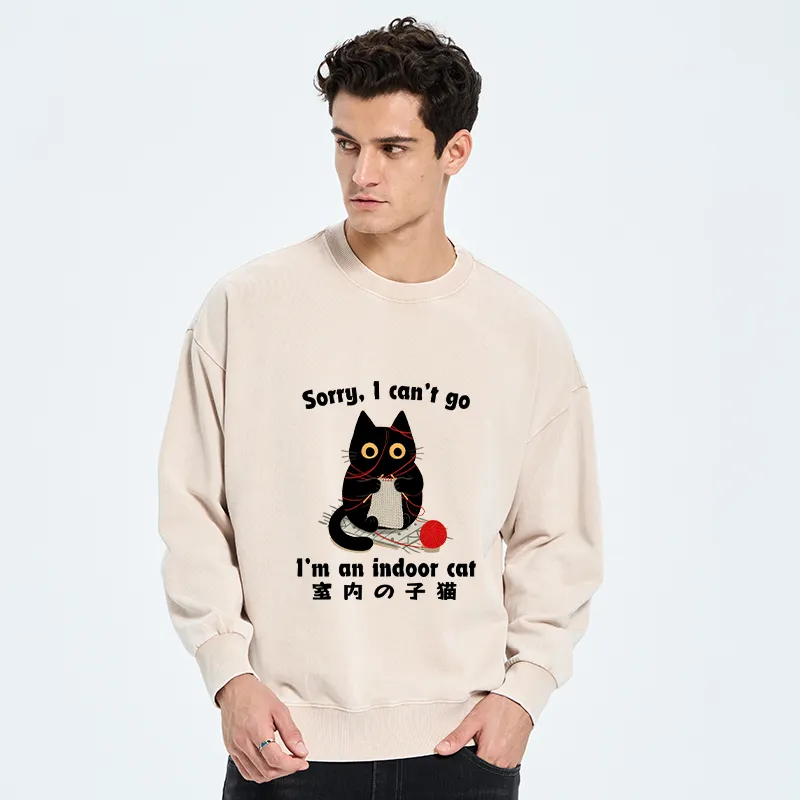 Tokyo-Tiger Indoor Cat Meme Washed Sweatshirt