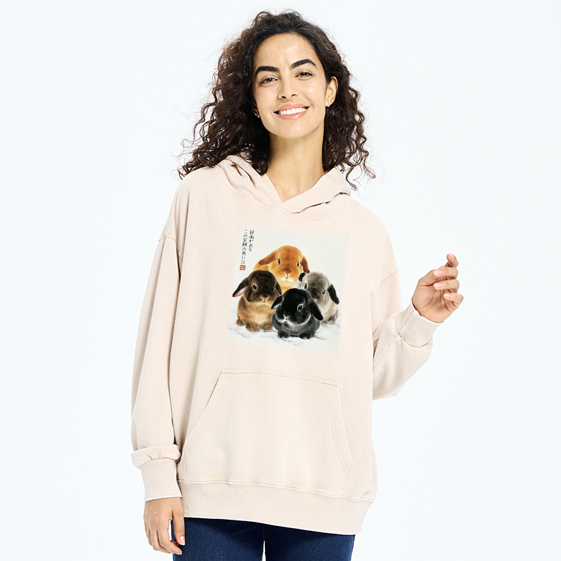 Tokyo-Tiger The Ink Wash Rabbit Is Watching You Washed Hoodie