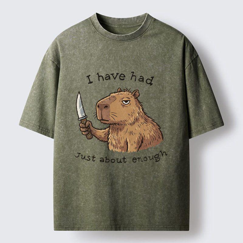 Tokyo-Tiger Mr. Nice Guy Had Enough Washed T-Shirt