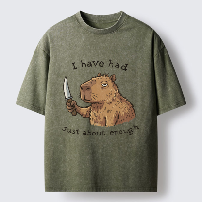 Tokyo-Tiger Mr. Nice Guy Had Enough Washed T-Shirt