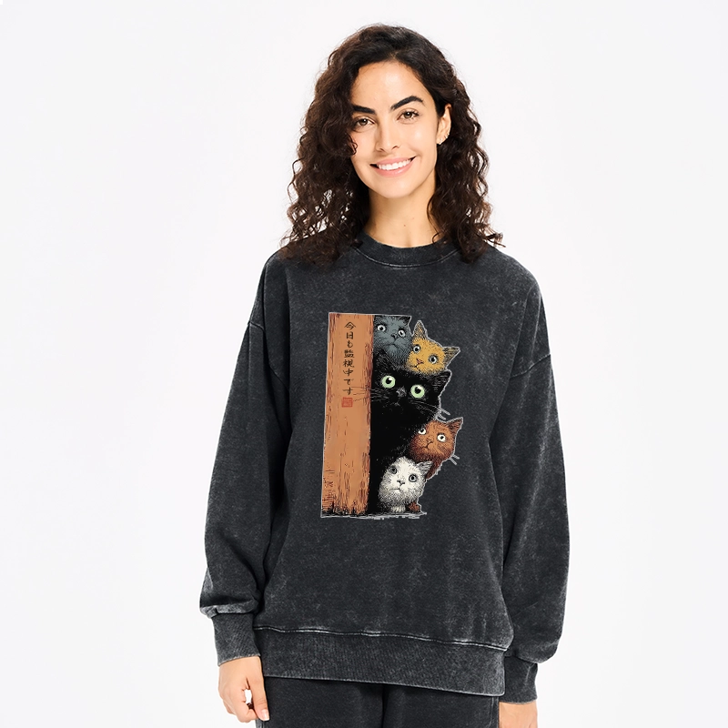 Tokyo-Tiger Five Cats Are Watching You Washed Sweatshirt