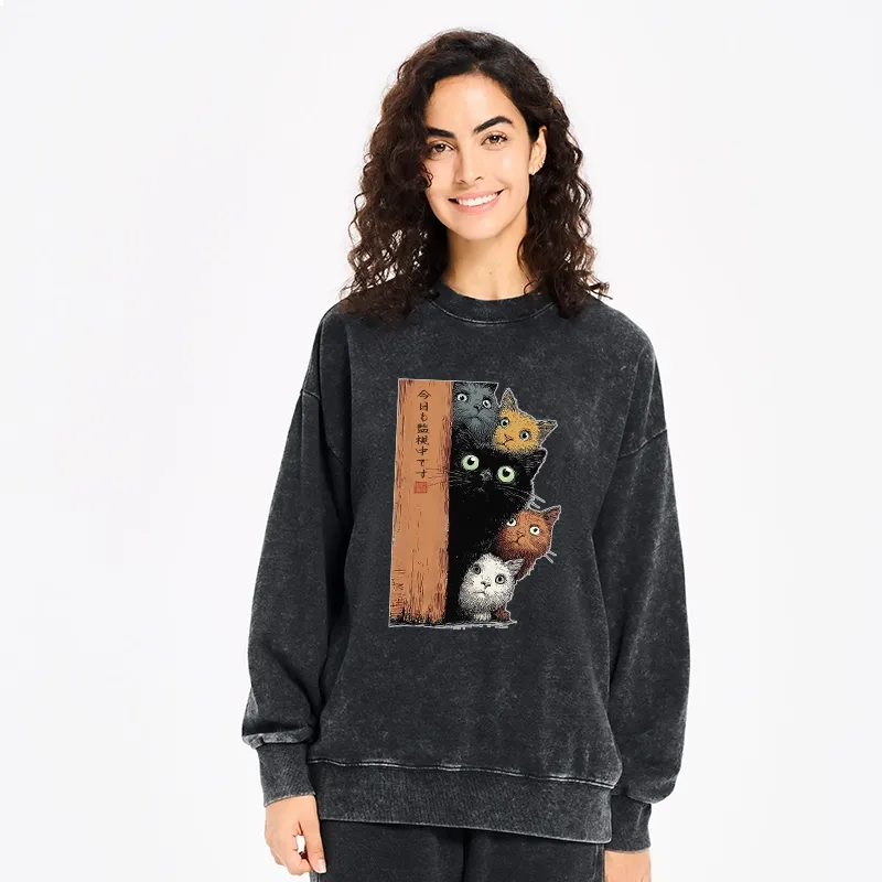 Tokyo-Tiger Five Cats Are Watching You Washed Sweatshirt