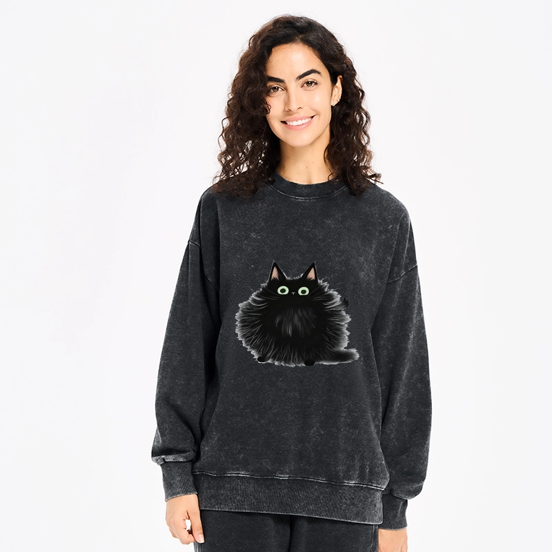 Tokyo-Tiger Cat's Approval Washed Sweatshirt