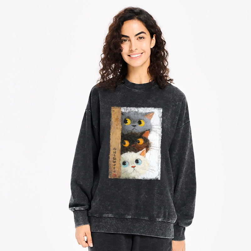 Tokyo-Tiger Three Cute Cats Watch You Washed Sweatshirt