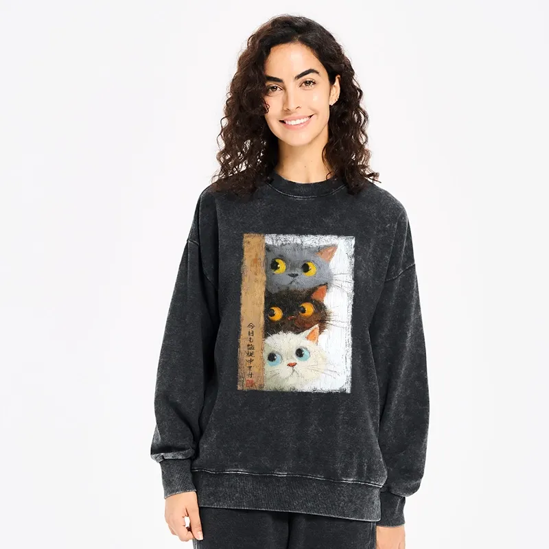 Tokyo-Tiger Three Cute Cats Watch You Washed Sweatshirt