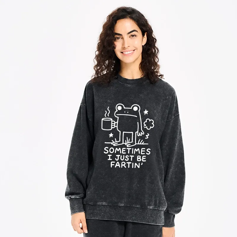 Tokyo-Tiger Sometimes A Frog Just Needs To Fart Washed Sweatshirt